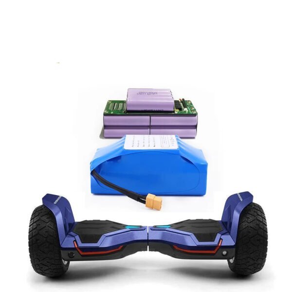 Electric Scooters Battery