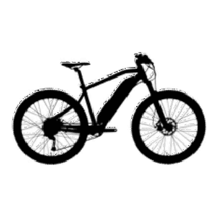 Electric bicycle 1
