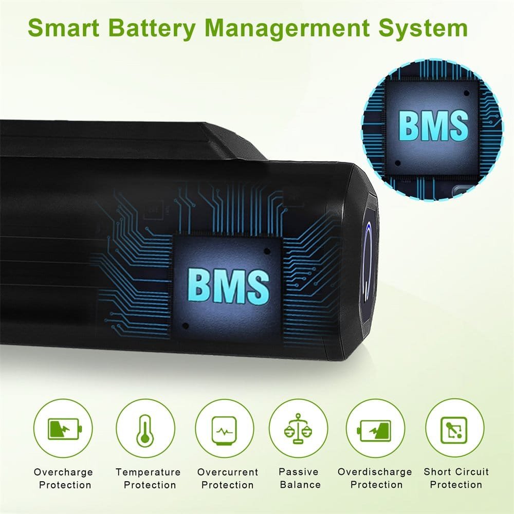 BMS 1