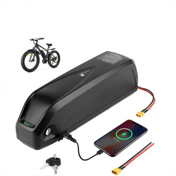 Hailong 1-2 Down Tube Ebike Battery - 이미지 7