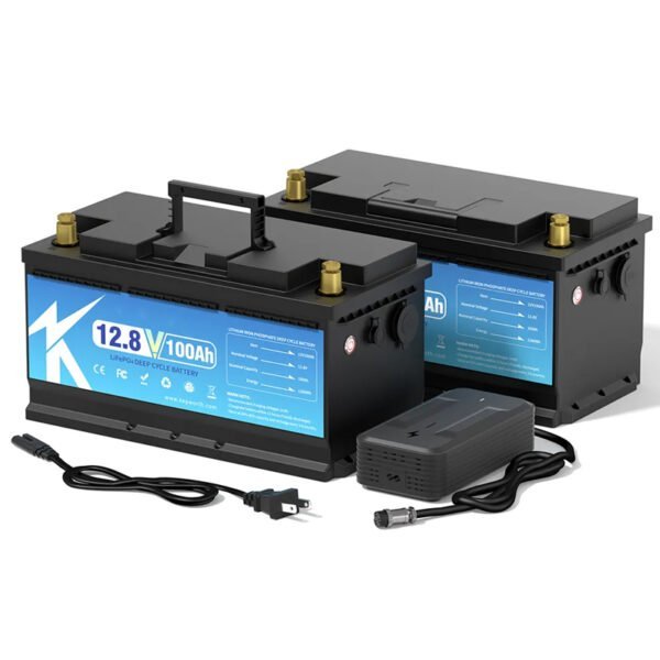 12.8V customizable lithium iron phosphate battery – Bild 2