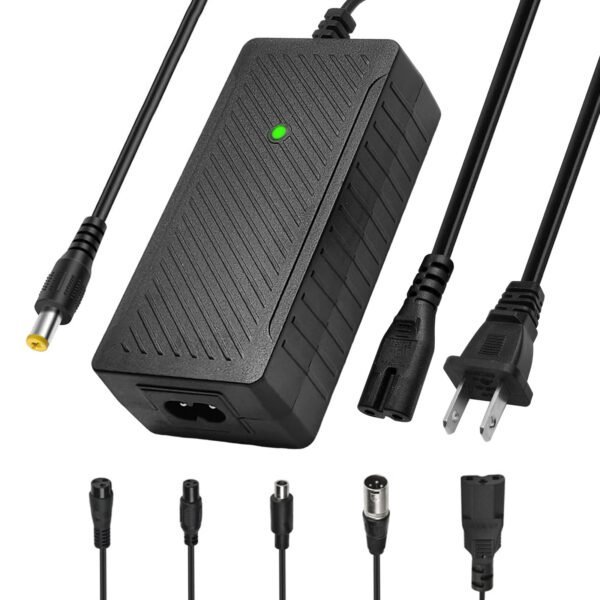 24V 2A EBike Charger | Smart Lithium Battery Charger for Electric Bicycles