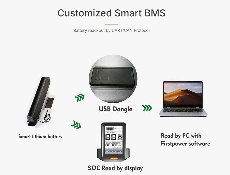 Customized Smart BMS