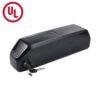 UL Certified 48V 20Ah ebike Battery